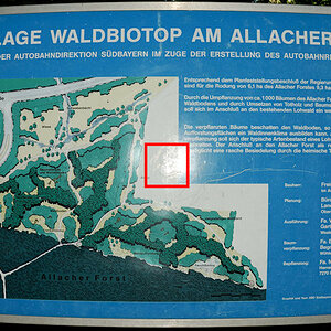 DSC 4088t
Foto mit Tonnenverzeichnung