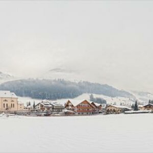 [ Ahrner Winter ]