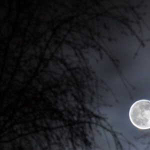 02.01.10 ca 19:50 erstes Bild....