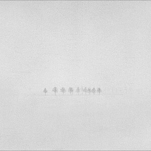 white.out II