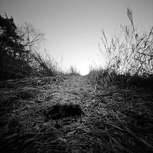 WebPinholeBild9 Retro