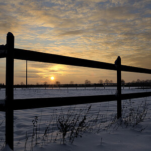 DSC5723 nff