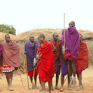 Massai  Tanz