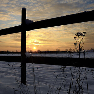 DSC5725 nff