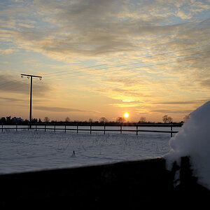 DSC5730 nff