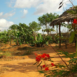 Landschaft 50km vor Tsavo NP