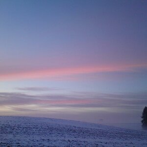 DSC00689