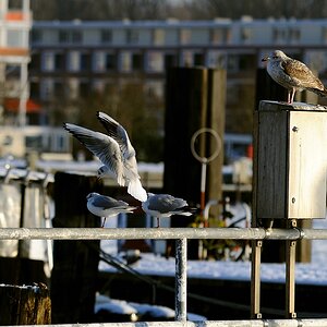 Travemünde tiefgekühlt14