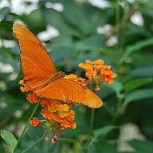 Test1