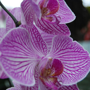 test2