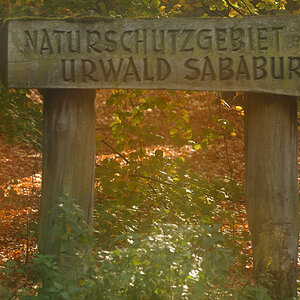 01 Sababurg 08