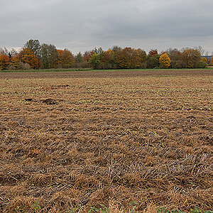 DSC 1789 4