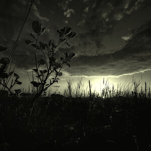 country of thornes II