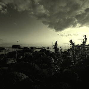 country of thornes III