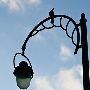 20080112 JW 038
