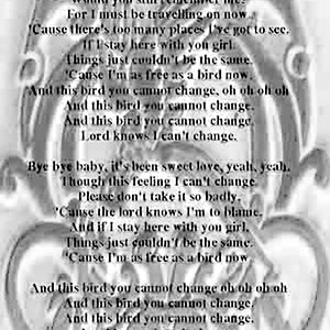 free bird