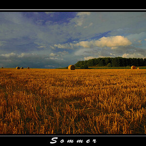 Sommer 01