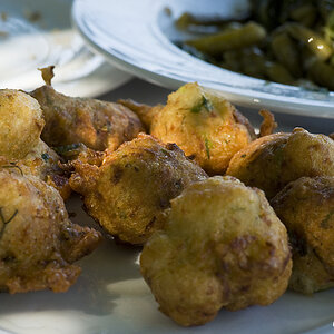 DSC8300-b greek food