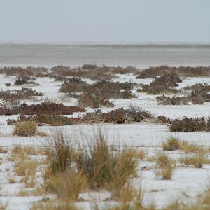 Etosha Pan