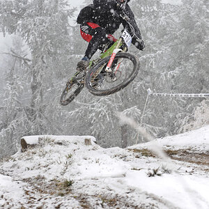 Bellwald Downhill 2008