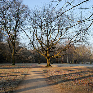 Stadtpark 009