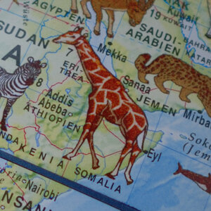 test 2,8