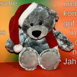 Weihnachtsbaer
