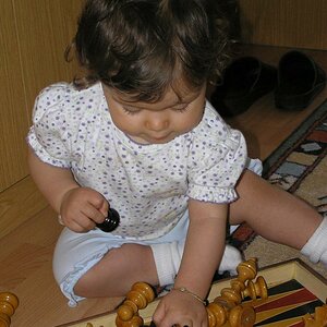 Die Schachspielerin