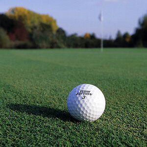 Neulich auf dem Golfplatz
