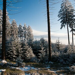 Feldberg