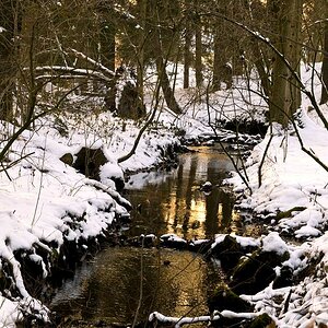 Winter2