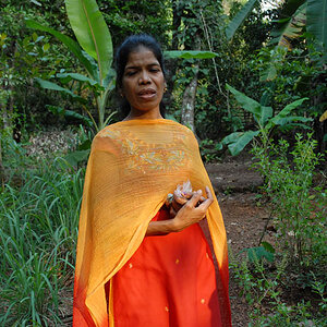 Spice farm in Goa