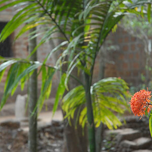 Spice farm (Goa)
