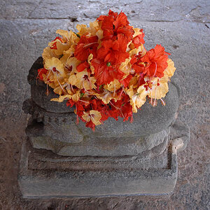 Flowers for God