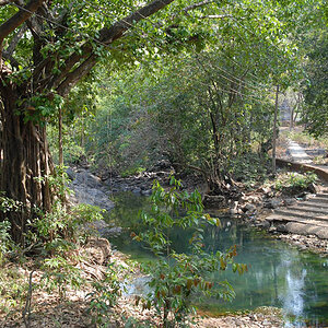 On the way to the temple