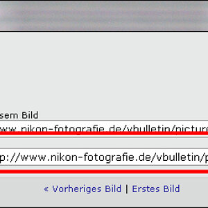 Bilder BB Code 01