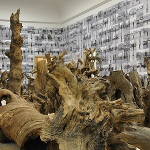 Ausstellung im Haus der Kunst - München
Künstler: Ai Weiwei