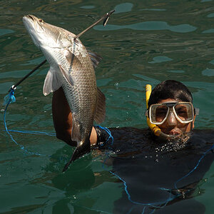 Harpoon fishing