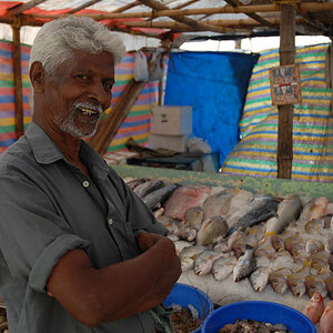 Fishseller in Cochin (Kerala)