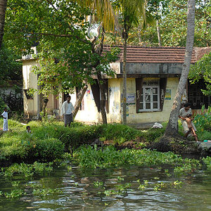 In the Backwaters of Kerala