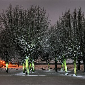 acomp wittenbergen 0023