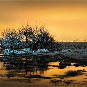 acomp wittenbergen 0046