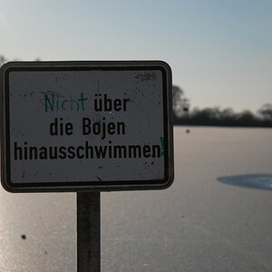 DSC 0011