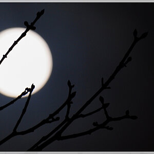 Mond 1