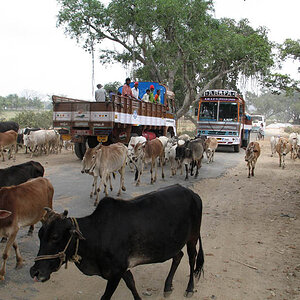 Mainroad in Karnataka