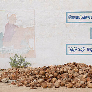 Coconuts are very important in South India (Chamundi Hill)
