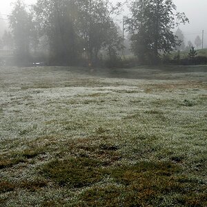 Nebel 07