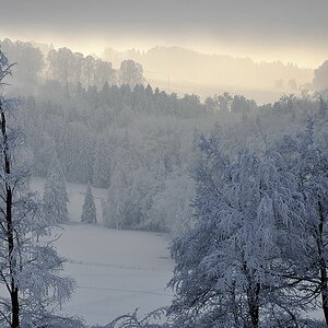 Es wird besser!