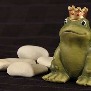 0002 Bild Frosch RKZ9111 BL8 1 30 170mm 3230K Iso400