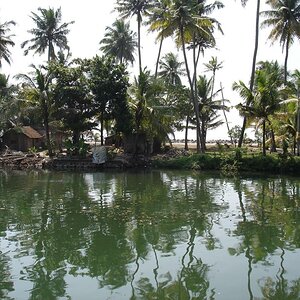 DSC00782